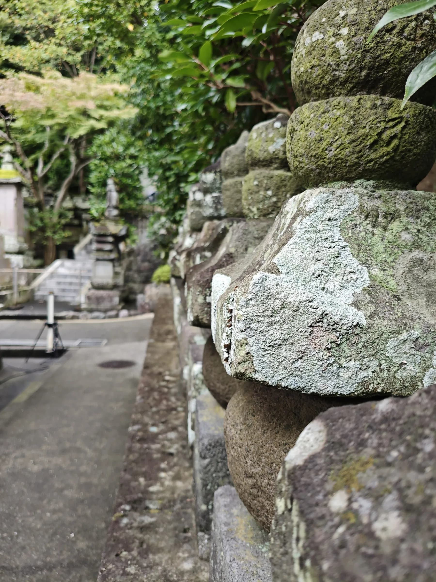Kamakura Half-Day Walking Tour: Great Buddha, Hase-dera and Forest Trail