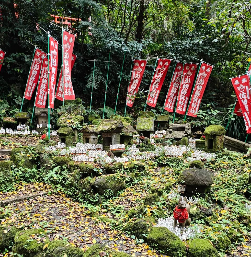 Kamakura Half-Day Walking Tour: Great Buddha, Hase-dera and Forest Trail
