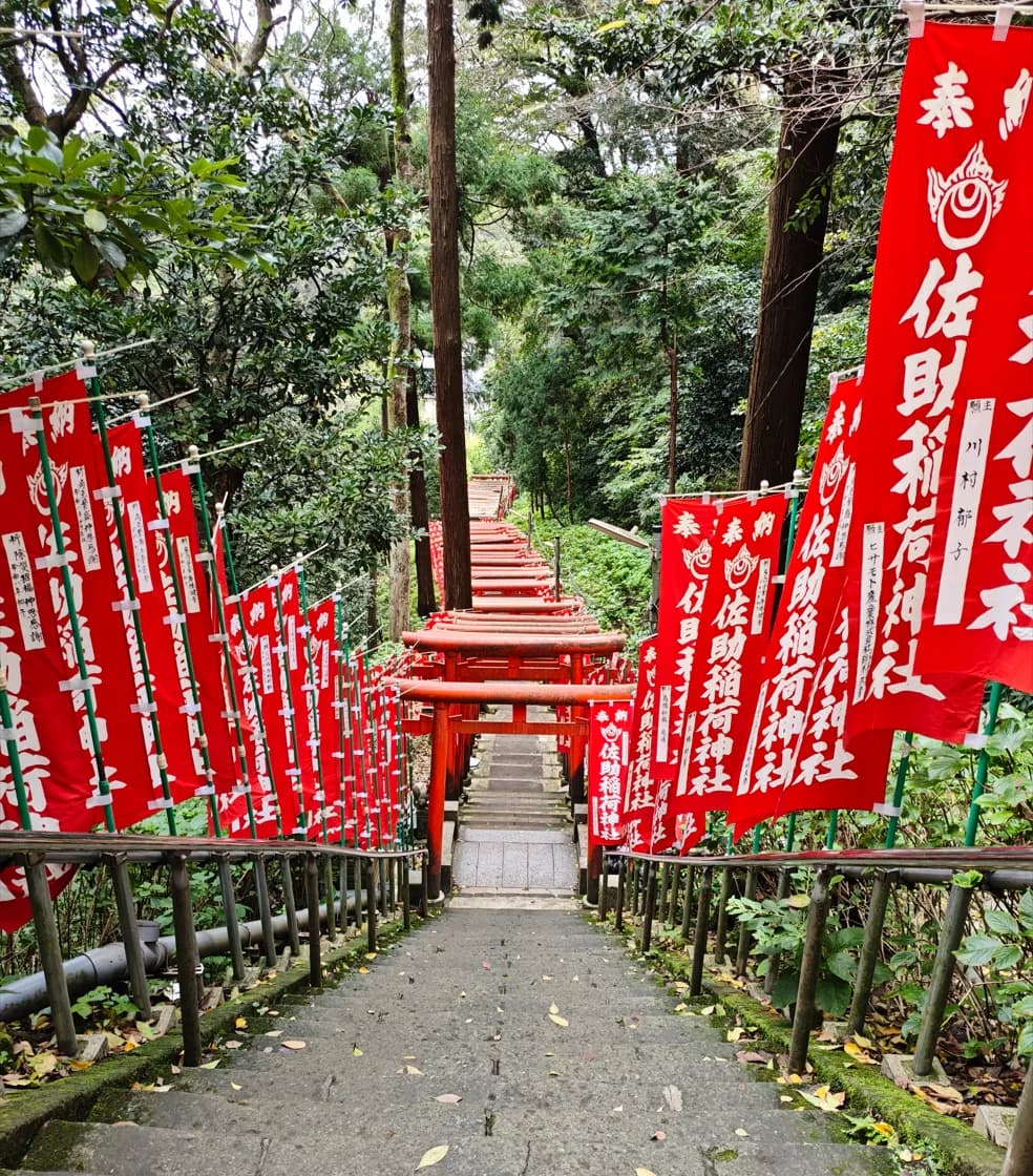 Kamakura Half-Day Walking Tour: Great Buddha, Hase-dera and Forest Trail