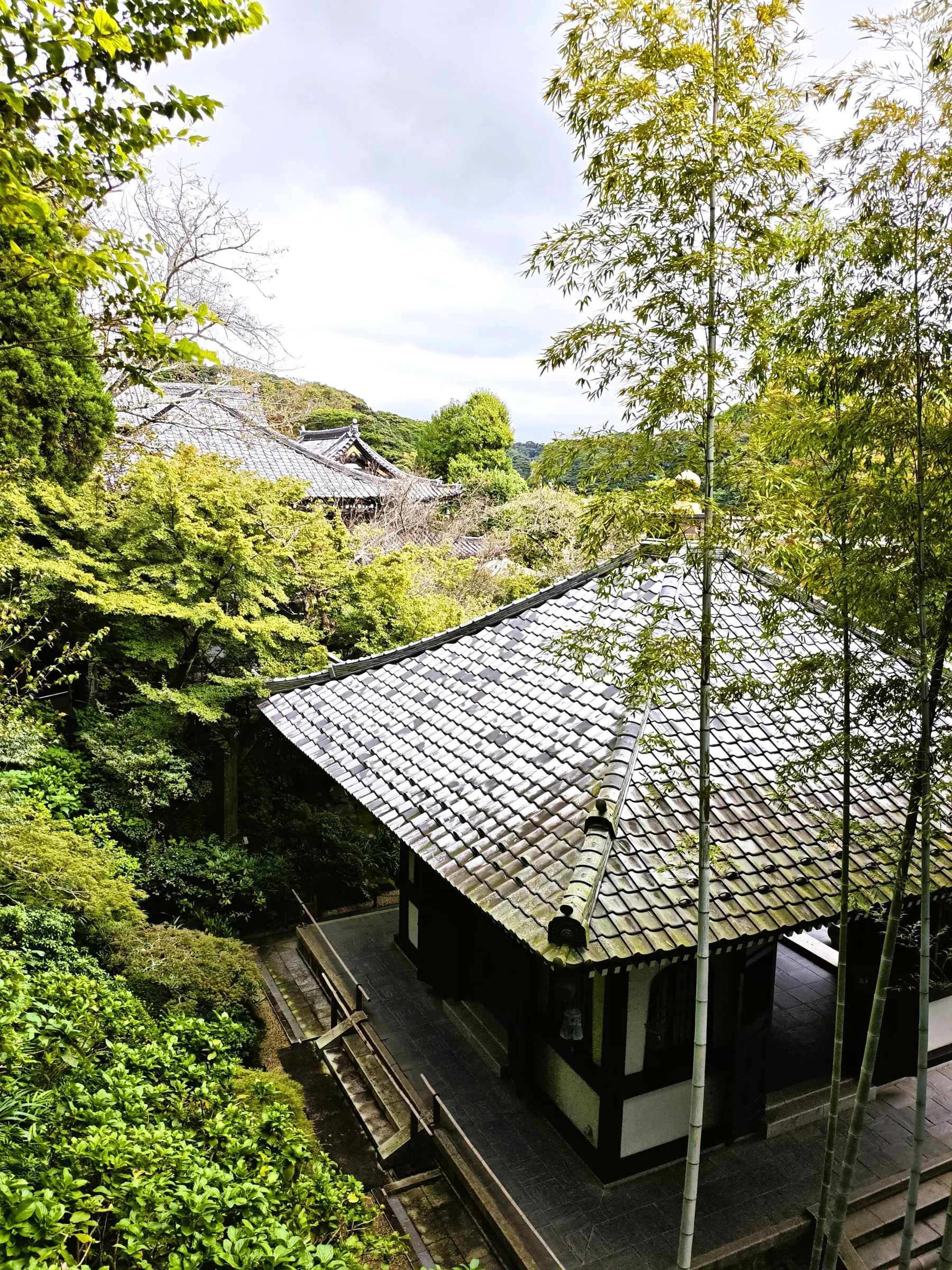 Kamakura Half-Day Walking Tour: Great Buddha, Hase-dera and Forest Trail