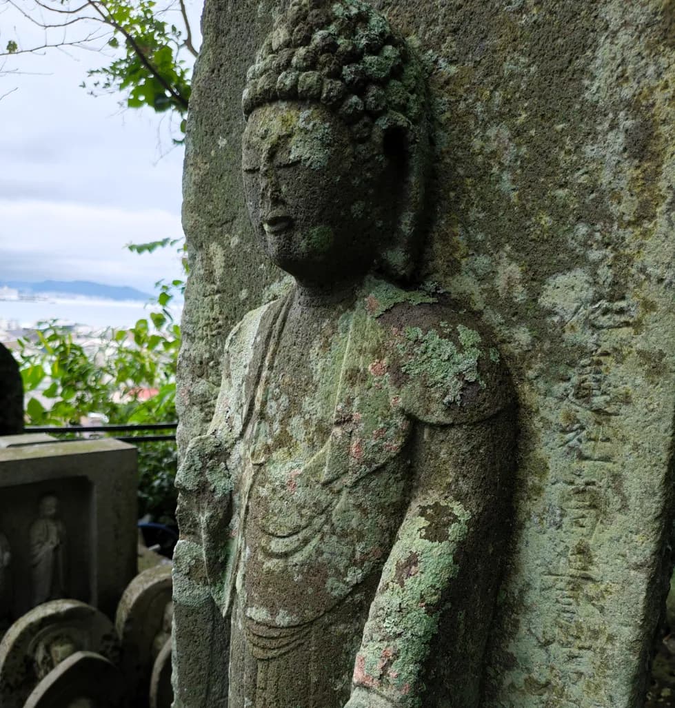 Kamakura Half-Day Walking Tour: Great Buddha, Hase-dera and Forest Trail