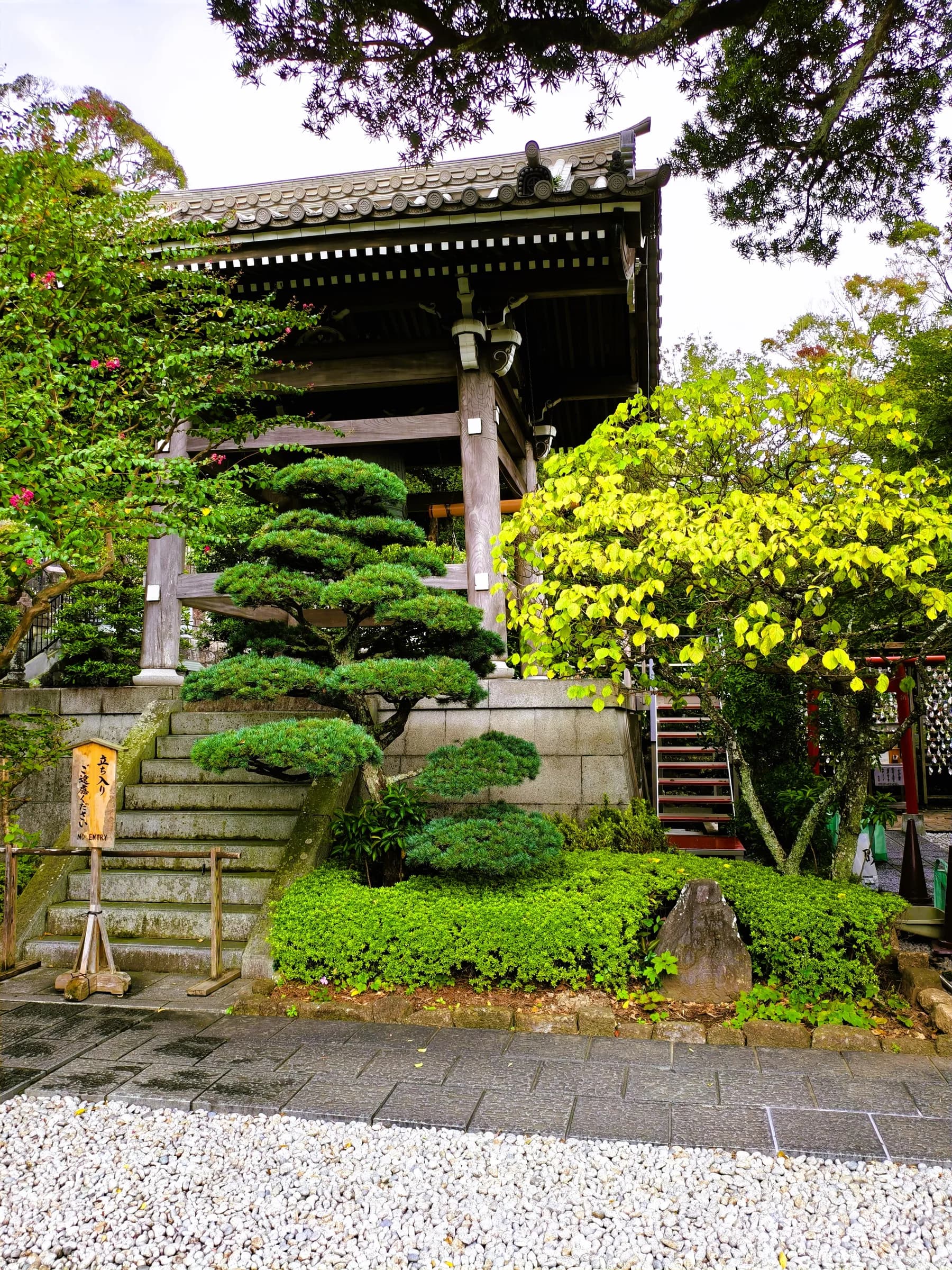 Kamakura Half-Day Walking Tour: Great Buddha, Hase-dera and Forest Trail