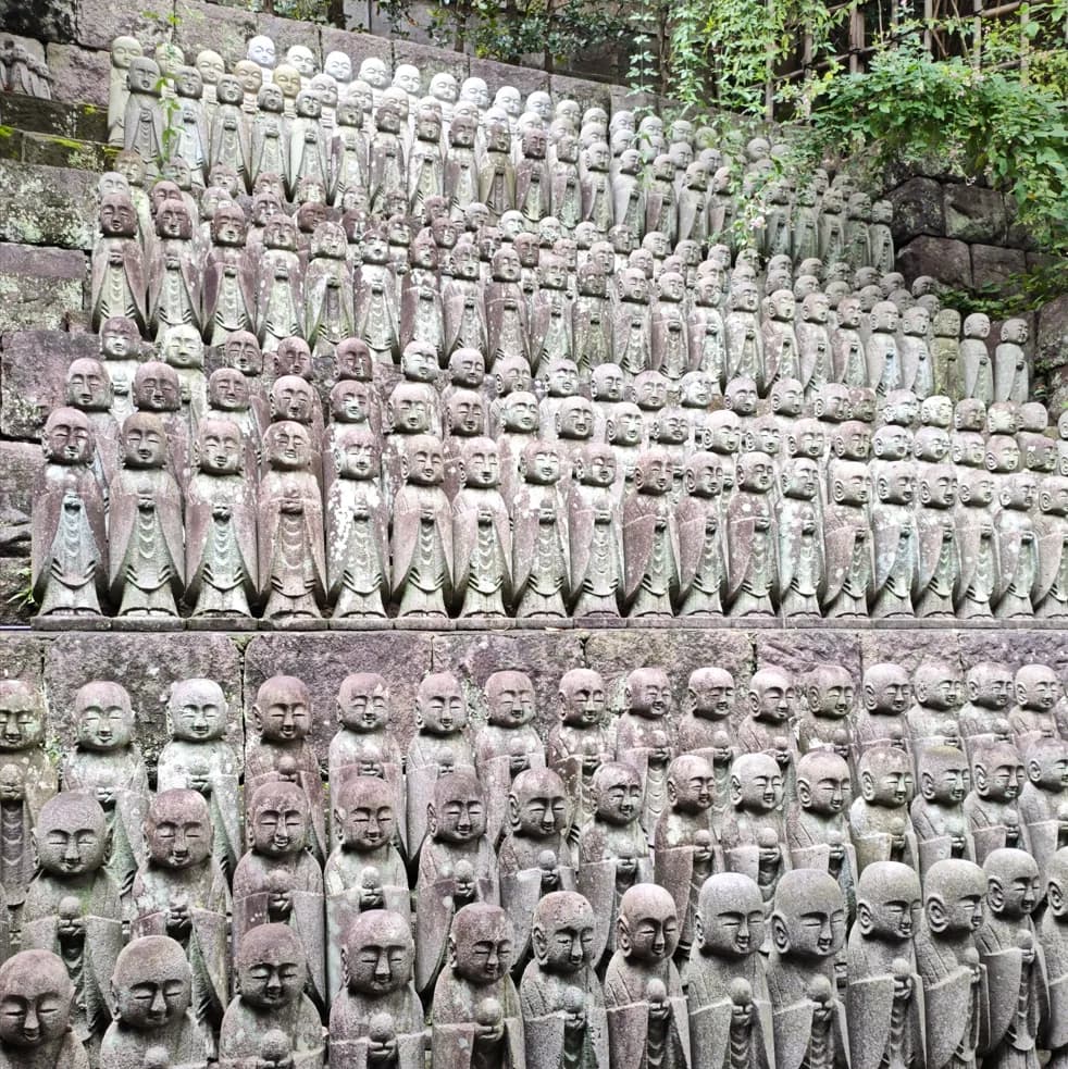 Kamakura Half-Day Walking Tour: Great Buddha, Hase-dera and Forest Trail