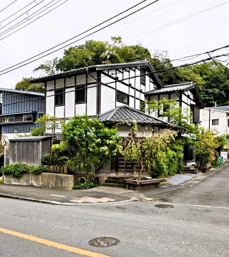 Kamakura Half-Day Walking Tour: Great Buddha, Hase-dera and Forest Trail