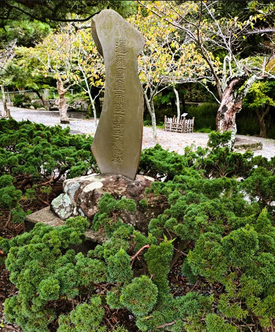 Kamakura Half-Day Walking Tour: Great Buddha, Hase-dera and Forest Trail