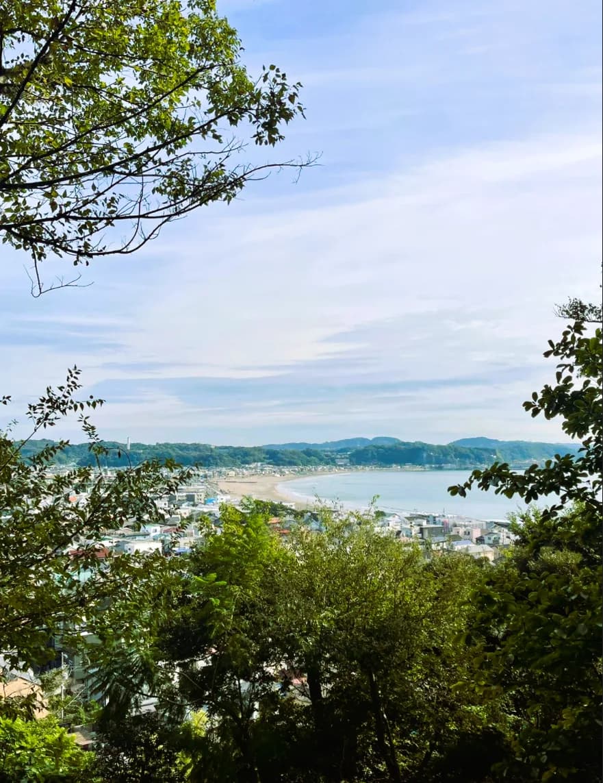 Kamakura Half-Day Walking Tour: Great Buddha, Hase-dera and Forest Trail